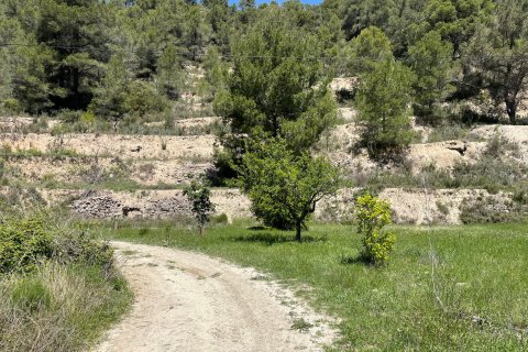 Terreno in vendita a Relleu, Alicante, Spagna 15514 mq. N° 192517 - foto 2