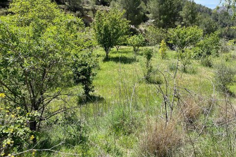 Terreno in vendita a Relleu, Alicante, Spagna 15514 mq. N° 192517 - foto 3