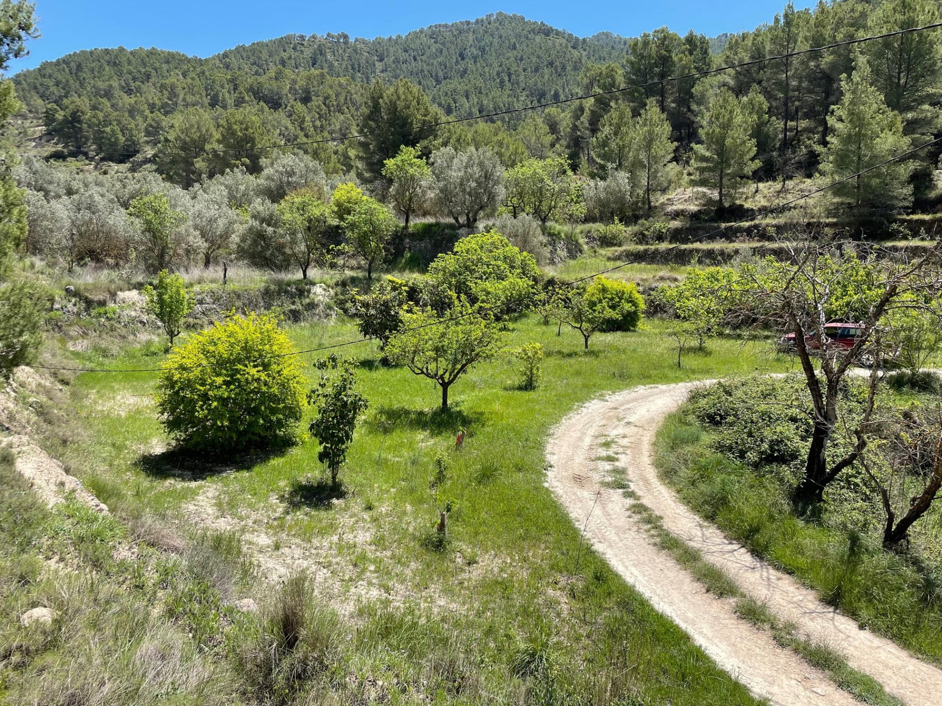 Terreno a Relleu, Alicante, Spagna 15514 mq. N° 192517