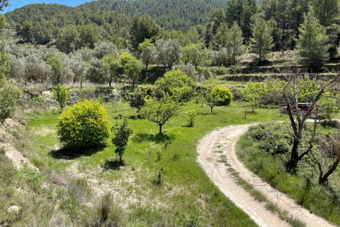 Terreno in vendita a Relleu, Alicante, Spagna 15514 mq. N° 192517 - foto 6