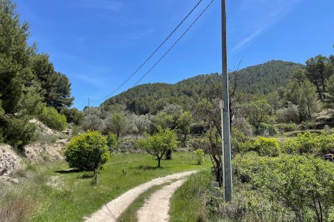 Terreno in vendita a Relleu, Alicante, Spagna 15514 mq. N° 192517 - foto 5