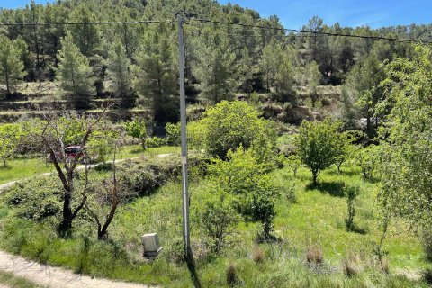 Terreno in vendita a Relleu, Alicante, Spagna 15514 mq. N° 192517 - foto 7