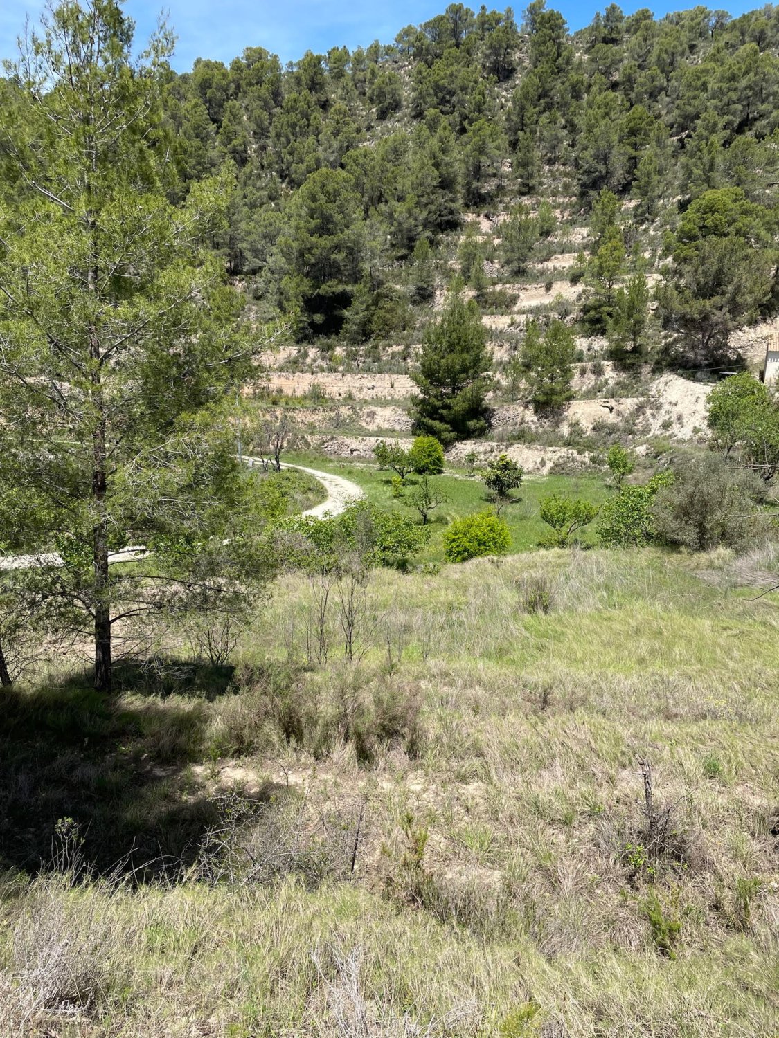 Terreno a Relleu, Alicante, Spagna 15514 mq. N° 192517