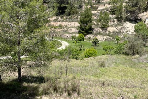 Terreno in vendita a Relleu, Alicante, Spagna 15514 mq. N° 192517 - foto 12