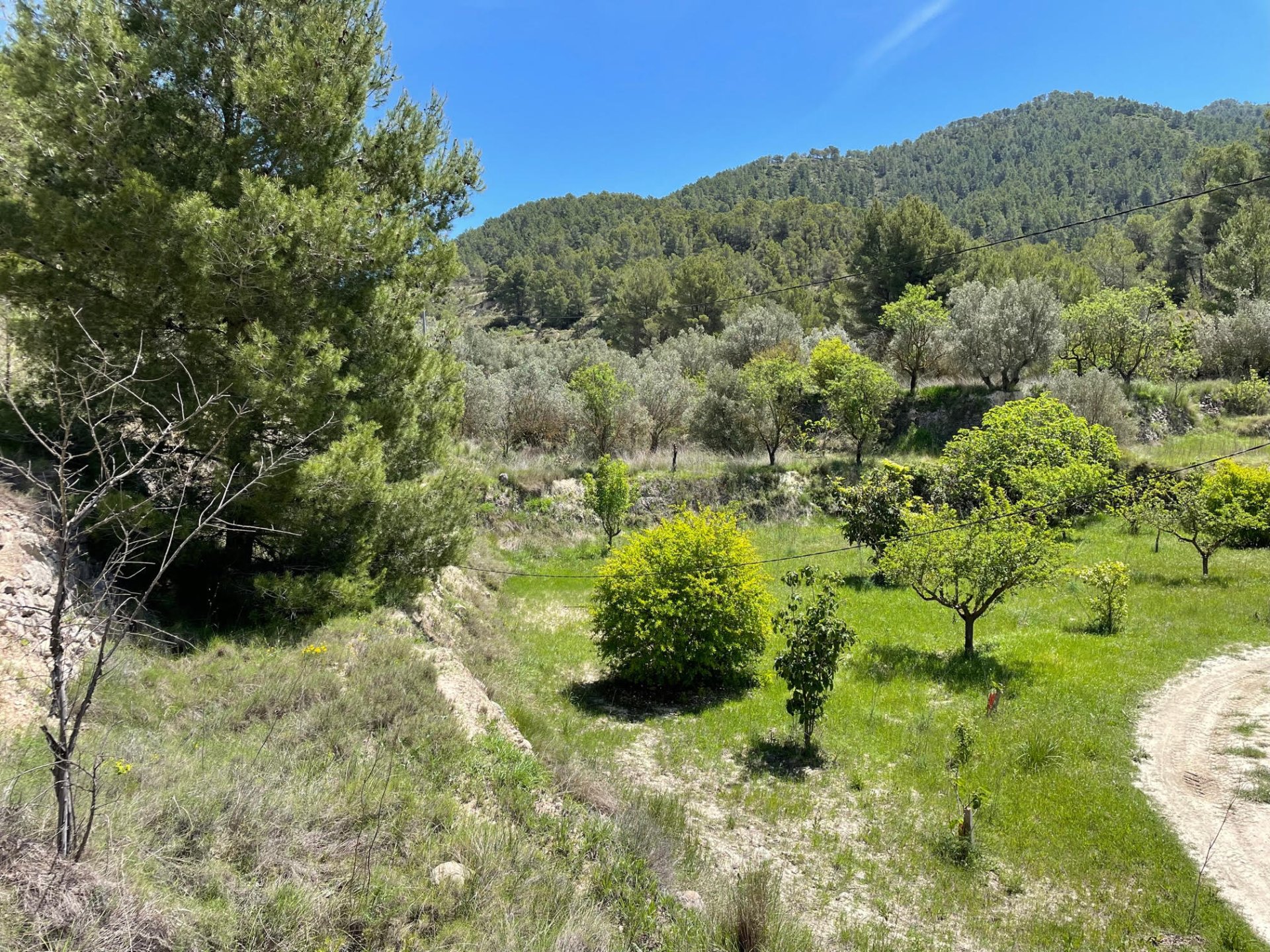 Terreno a Relleu, Alicante, Spagna 15514 mq. N° 192517