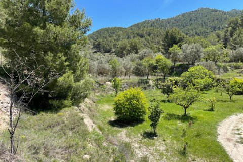 Terreno in vendita a Relleu, Alicante, Spagna 15514 mq. N° 192517 - foto 8