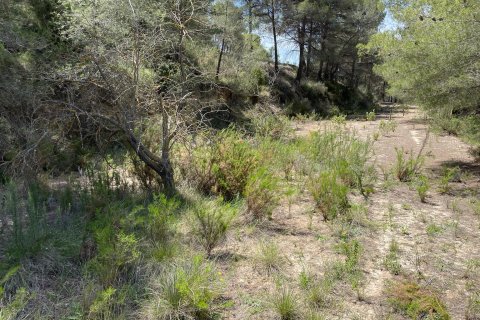 Terreno in vendita a Relleu, Alicante, Spagna 15514 mq. N° 192517 - foto 11