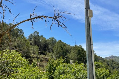 Terreno in vendita a Relleu, Alicante, Spagna 15514 mq. N° 192517 - foto 9