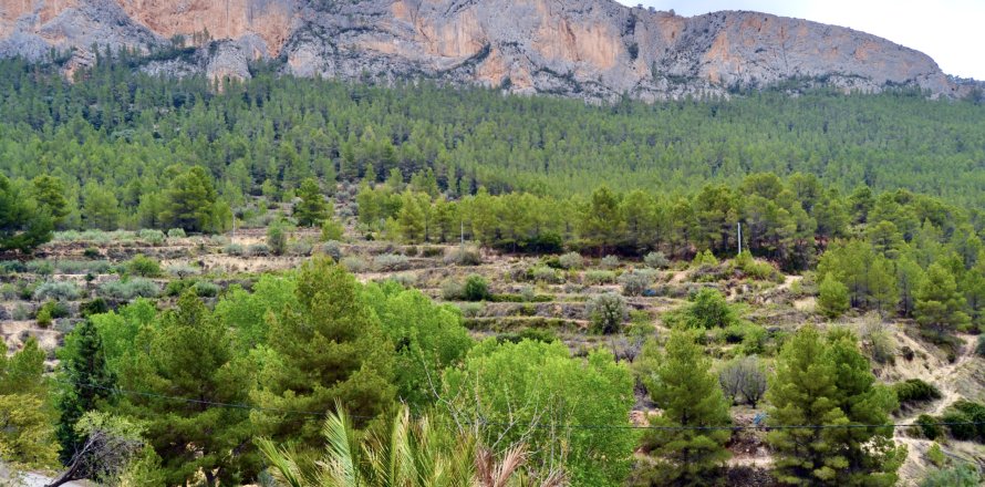 Finca a Sella, Alicante, Spagna 2 camere da letto, 80 mq. N° 192514
