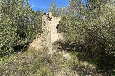 Zemes gabals pārdošanā Muro, Mallorca, Spānijā Nr. 147905 - attēls 6