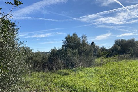 Zemes gabals pārdošanā Muro, Mallorca, Spānijā Nr. 147905 - attēls 7