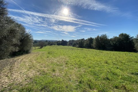 Zemes gabals pārdošanā Muro, Mallorca, Spānijā Nr. 147905 - attēls 14