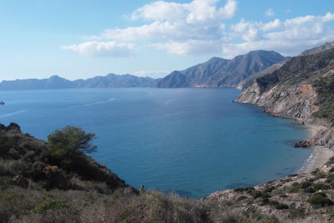 Villa till salu Torre-Pacheco, Murcia, Spanien 2 sovrum, 75 kvm. Nr. 110621 - foto 10