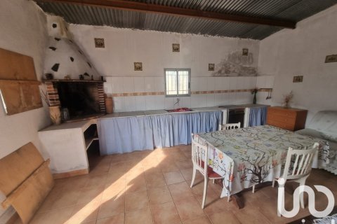 Terreno a Benifallet, Tarragona, Spagna 6.38 mq. N° 185761