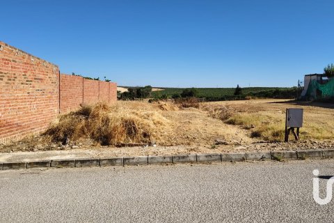 Terreno in vendita a Canada Rosal, Seville, Spagna 180 mq. N° 185759 - foto 4