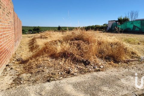 Land plot in Canada Rosal, Seville, Spain 180 sq.m. No. 185759
