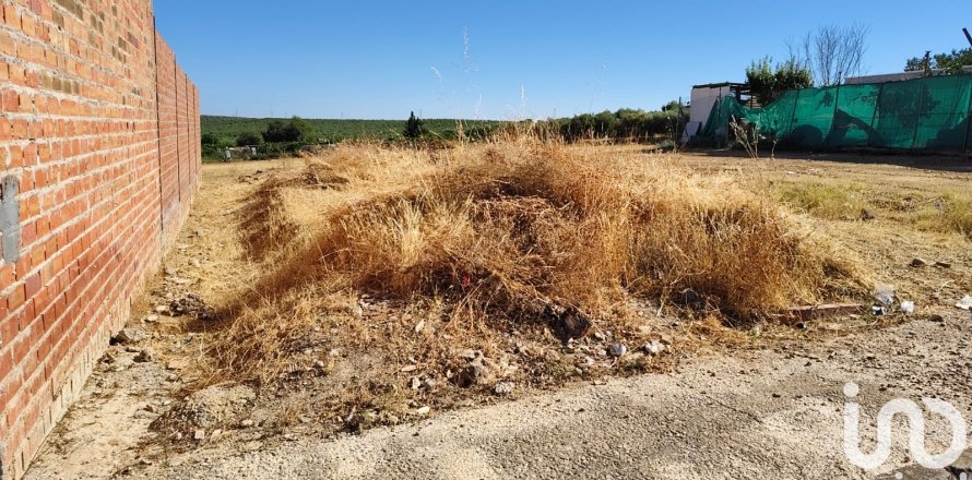 Terreno a Canada Rosal, Seville, Spagna 180 mq. N° 185759