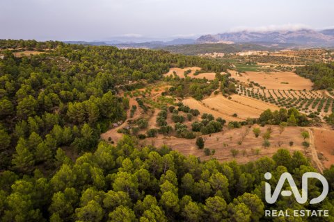 Proprietà commerciale in vendita a Lledo, Teruel, Spagna N° 192155 - foto 4
