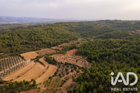 Proprietà commerciale in vendita a Lledo, Teruel, Spagna N° 192155 - foto 3