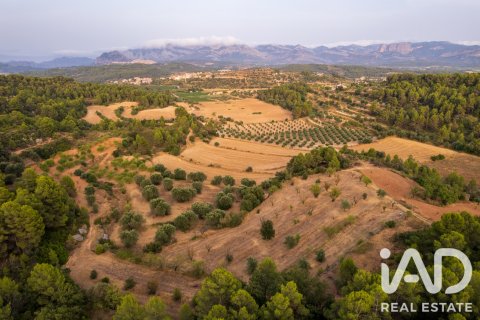 Lokal usługowy w Lledo, Teruel, Hiszpania nr 192155