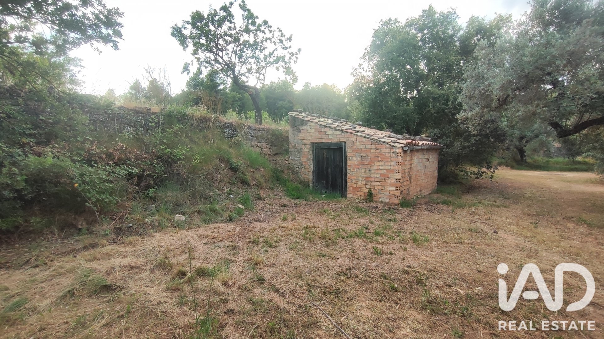 Propiedad comercial en Lledo, Teruel, España No. 192155