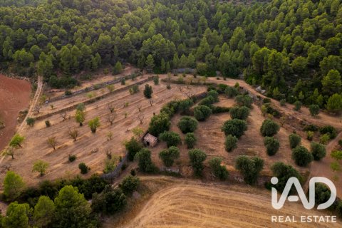 Proprietà commerciale in vendita a Lledo, Teruel, Spagna N° 192155 - foto 17