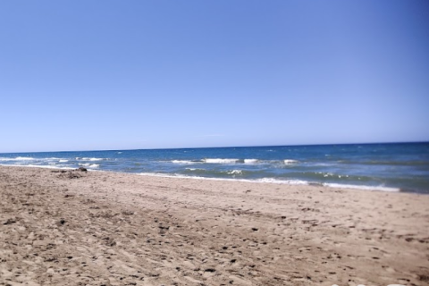 Wohnung zum Verkauf in Marbella, Malaga, Spanien 42 m2 Nr. 192157 - Foto 12
