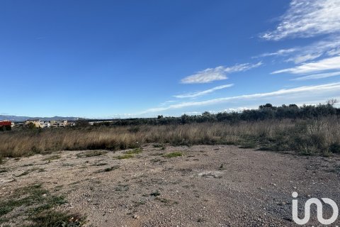 Land in Mont-roig del Camp, Tarragona, Spanien 9234 m2 Nr. 153761
