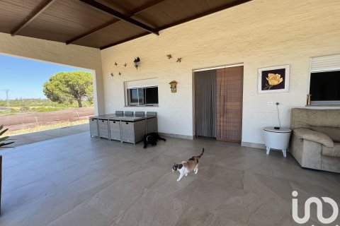 Māja pārdošanā Lepe, Huelva, Spānijā 2 istabas, 5378 m2 Nr. 153757 - attēls 26