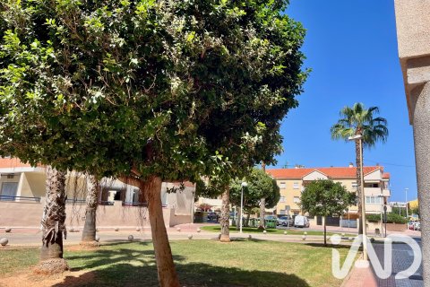 Lägenhet till salu i Oropesa del Mar, Castellon, Spanien 42 kvm. Nr. 195099 - foto 28