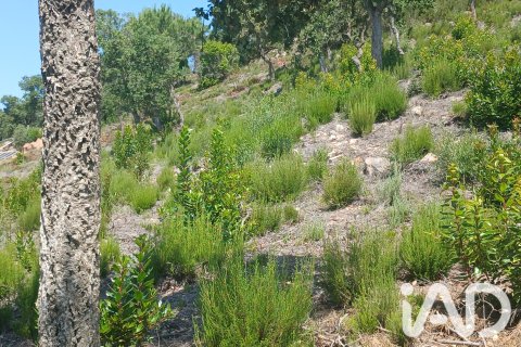 Tontti myytävänä Lloret de Mar, Girona, Espanja , 567 m2 No. 195098 - kuva 2