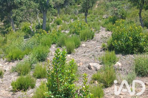 Tontti myytävänä Lloret de Mar, Girona, Espanja , 567 m2 No. 195098 - kuva 3