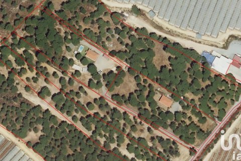 Dom w Cartaya, Huelva, Hiszpania 3 sypialnie, 6906 mkw. nr 154126 – zdjęcie 13