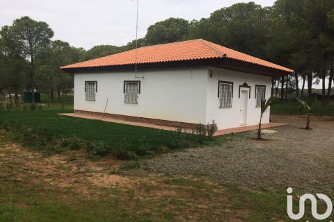 Dom w Cartaya, Huelva, Hiszpania 3 sypialnie, 6906 mkw. nr 154126 – zdjęcie 8