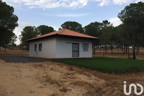 Dom w Cartaya, Huelva, Hiszpania 3 sypialnie, 6906 mkw. nr 154126 – zdjęcie 3