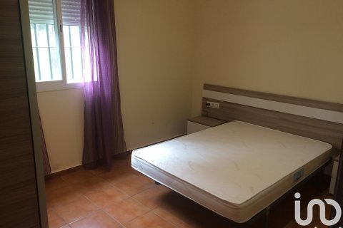 Dom w Cartaya, Huelva, Hiszpania 3 sypialnie, 6906 mkw. nr 154126 – zdjęcie 5