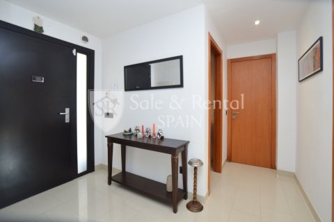 Casa in vendita a Santa Susanna, Barcelona, Spagna 5 camere da letto, 226 mq. N° 166399 - foto 3