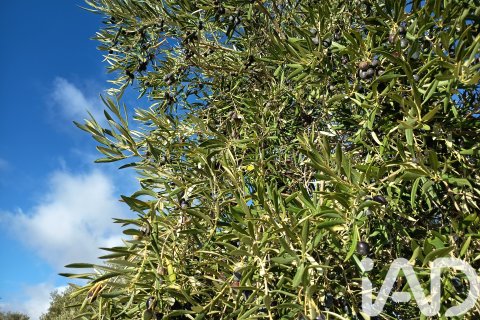 Terreno in vendita a Granada, Spagna 308000 mq. N° 152801 - foto 13