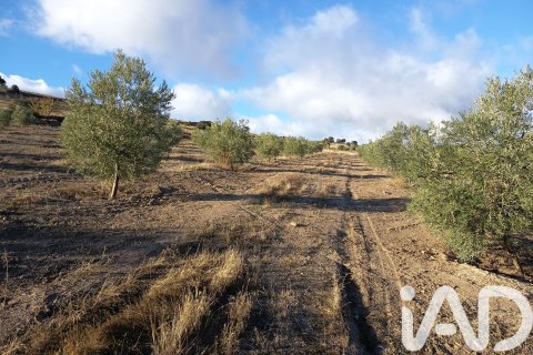 Terreno in vendita a Granada, Spagna 308000 mq. N° 152801 - foto 29