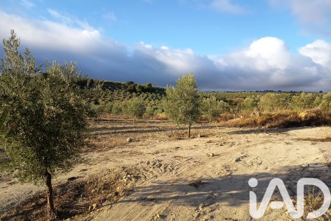 Terreno in vendita a Granada, Spagna 308000 mq. N° 152801 - foto 3