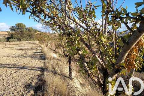 Terreno in vendita a Granada, Spagna 308000 mq. N° 152801 - foto 19