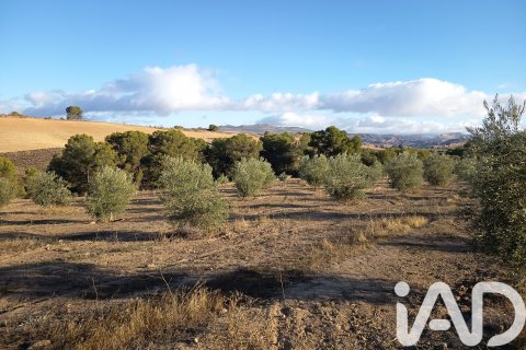 Terreno in vendita a Granada, Spagna 308000 mq. N° 152801 - foto 17