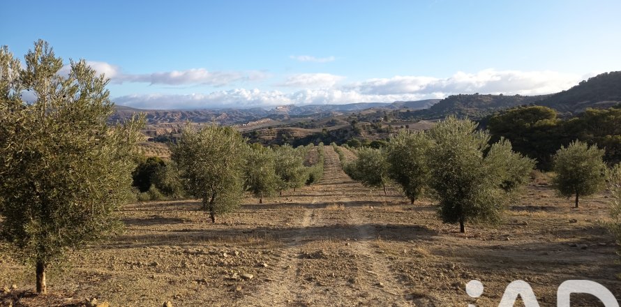 Terreno a Granada, Spagna 308000 mq. N° 152801