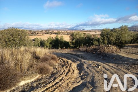 Terreno in vendita a Granada, Spagna 308000 mq. N° 152801 - foto 16