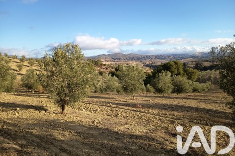 Terreno in vendita a Granada, Spagna 308000 mq. N° 152801 - foto 25