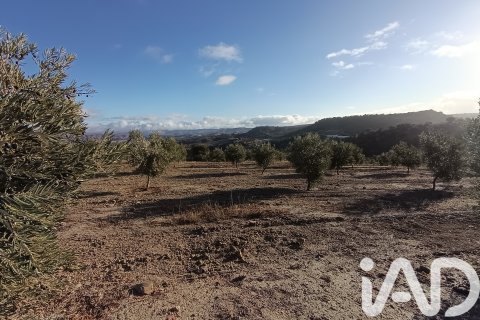 Terreno in vendita a Granada, Spagna 308000 mq. N° 152801 - foto 24