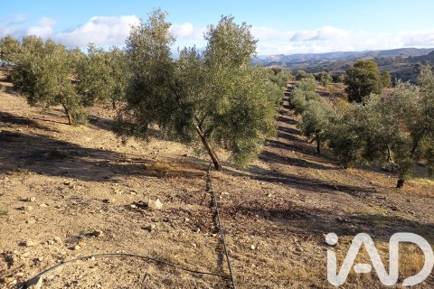 Terreno in vendita a Granada, Spagna 308000 mq. N° 152801 - foto 9