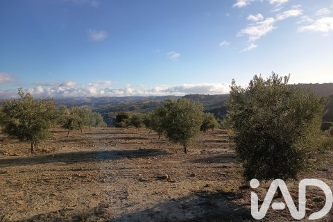 Terreno in vendita a Granada, Spagna 308000 mq. N° 152801 - foto 4