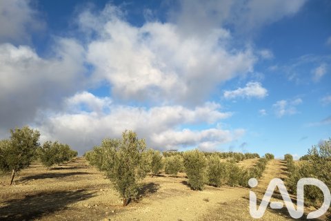 Terreno in vendita a Granada, Spagna 308000 mq. N° 152801 - foto 8