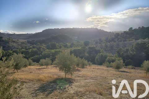 Terreno in vendita a Granada, Spagna 308000 mq. N° 152801 - foto 14